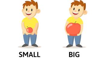 Essential Basic Adjectives